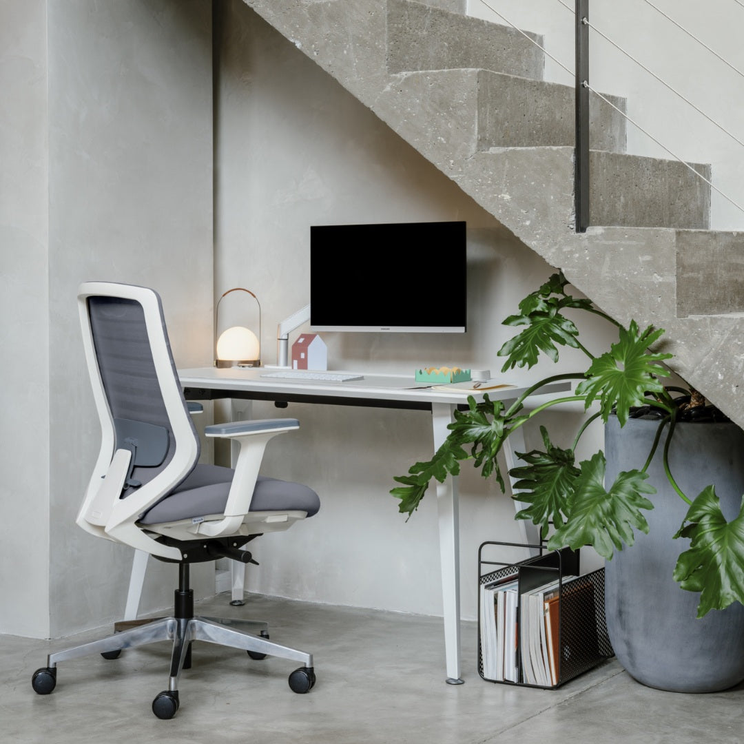 Seat Color:Graphite; Frame Color:White; Size:Standard