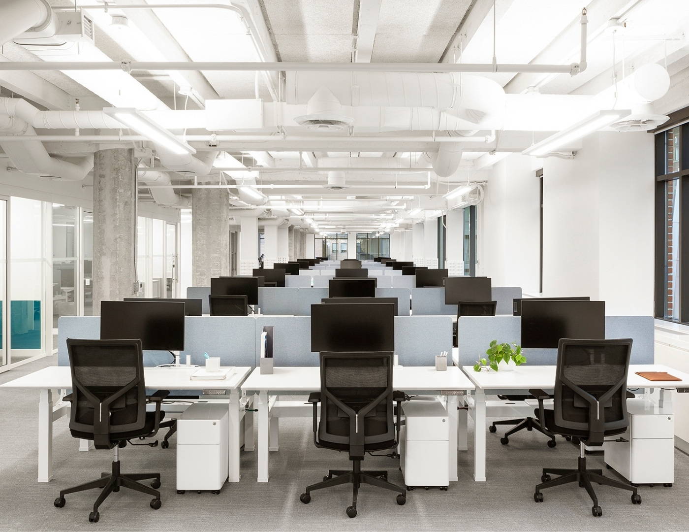 Choosing the Best Office Layout for Your Business