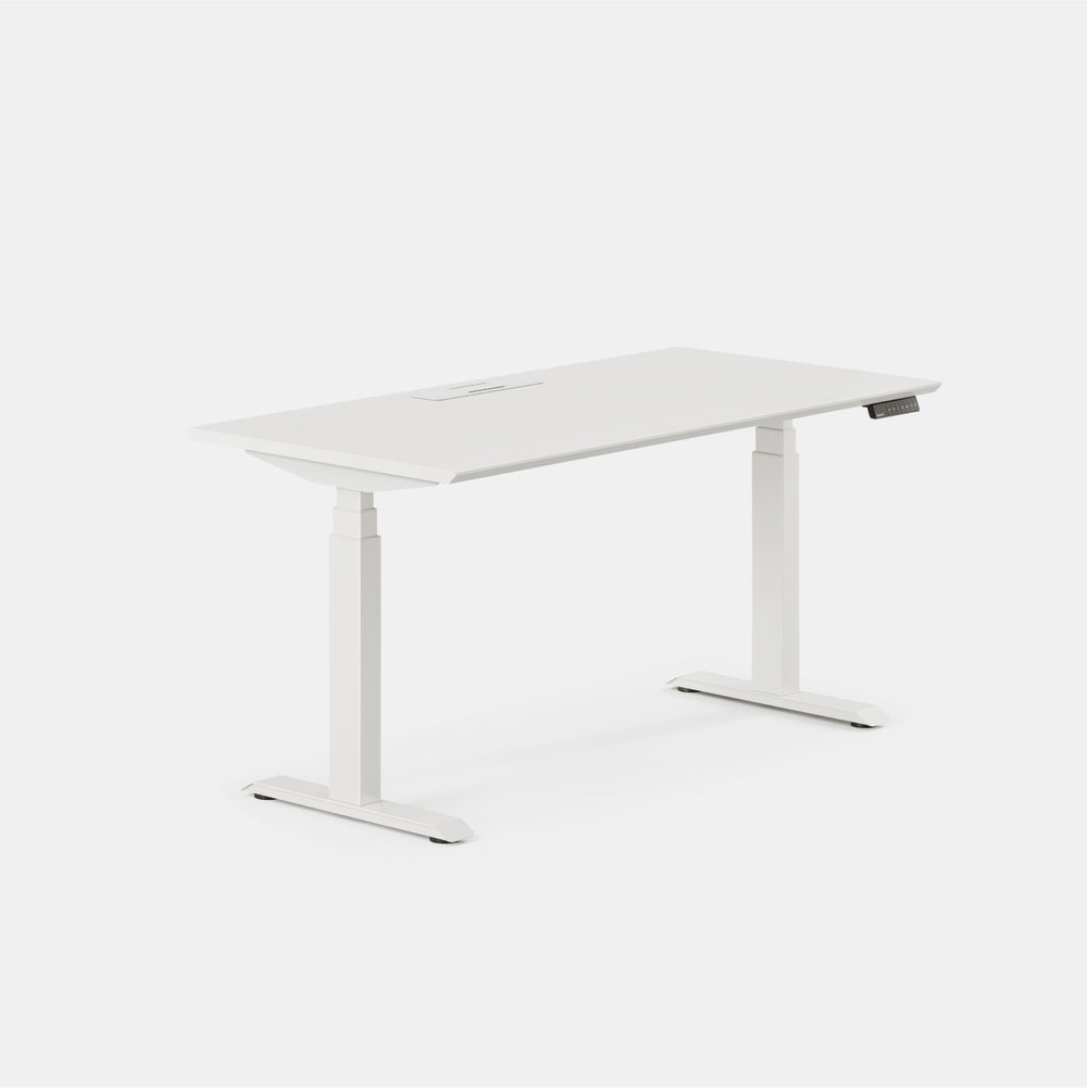 Top Color:White; Leg Color:White