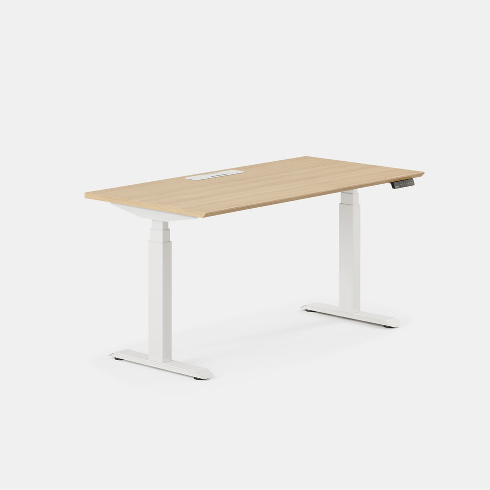 Standing Desk | Adjustable Standing Desk | Branch Office Furniture