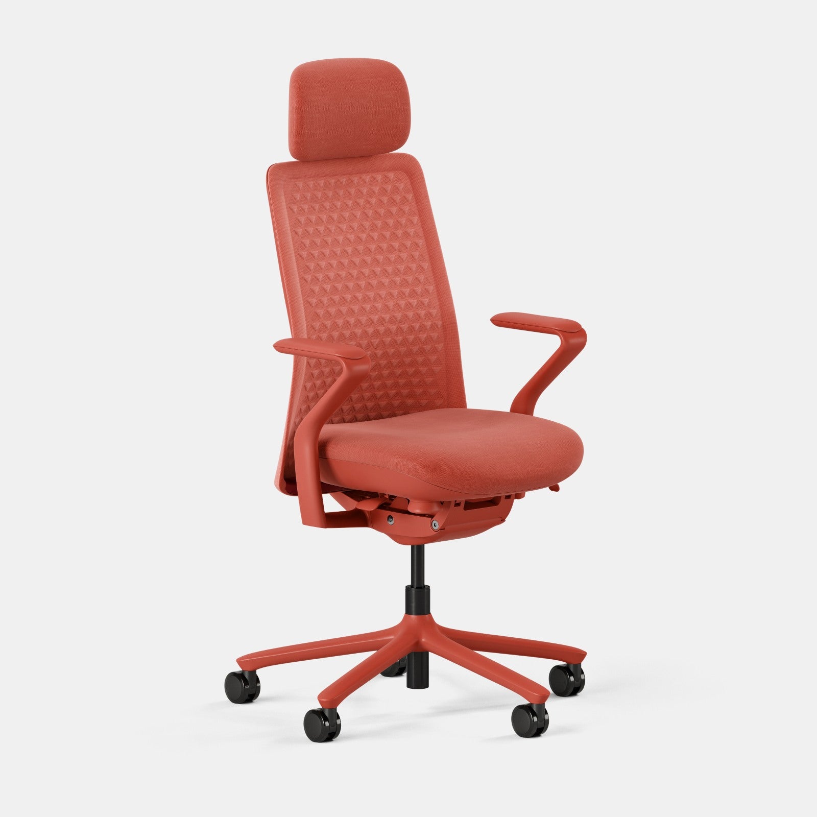 Color:Coral;