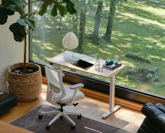 Carbon Emission Offsets