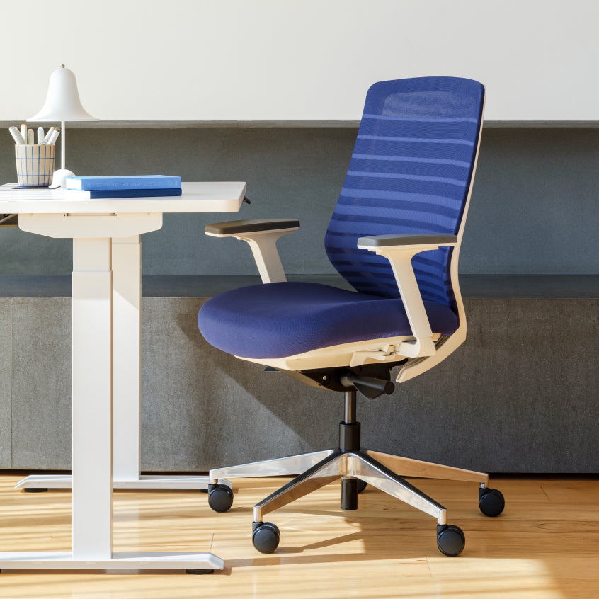 Seat Color:Baltic; Frame Color:White; Size:Standard