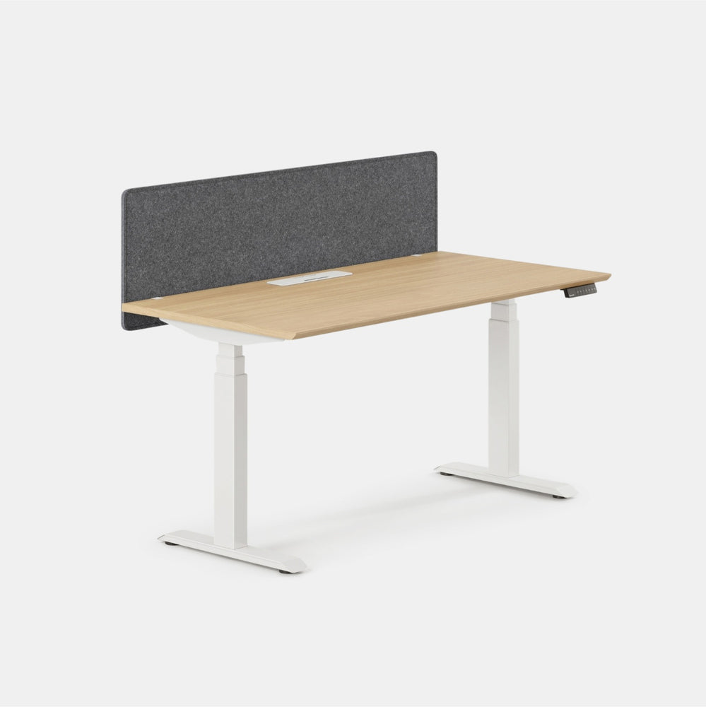 Conference Standing Panel Style Standing Desk Panels