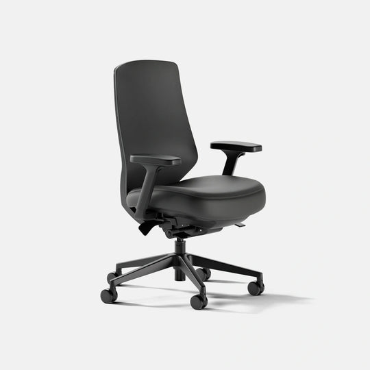 Ergonomic Chair Pro | Branch