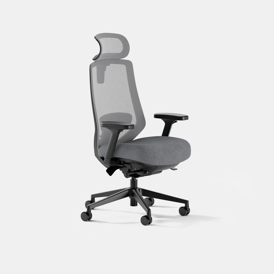 Ergonomic Chair Pro | Branch