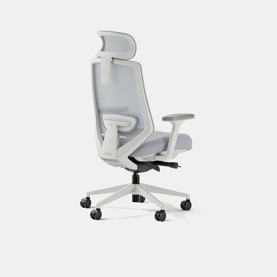 Ergonomic Chair Pro | Branch