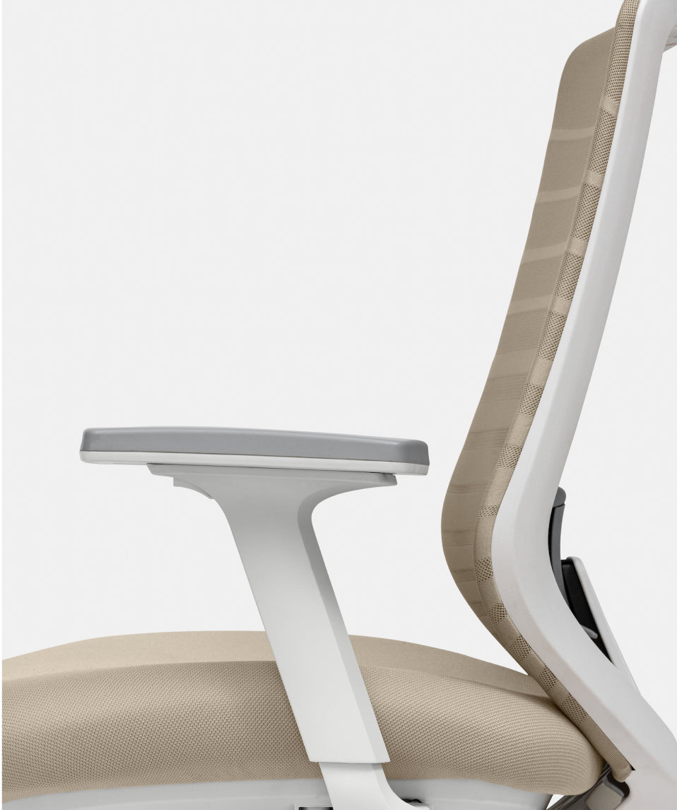 Ergonomic Chair | Office Ergonomic Chairs | Branch Office Furniture