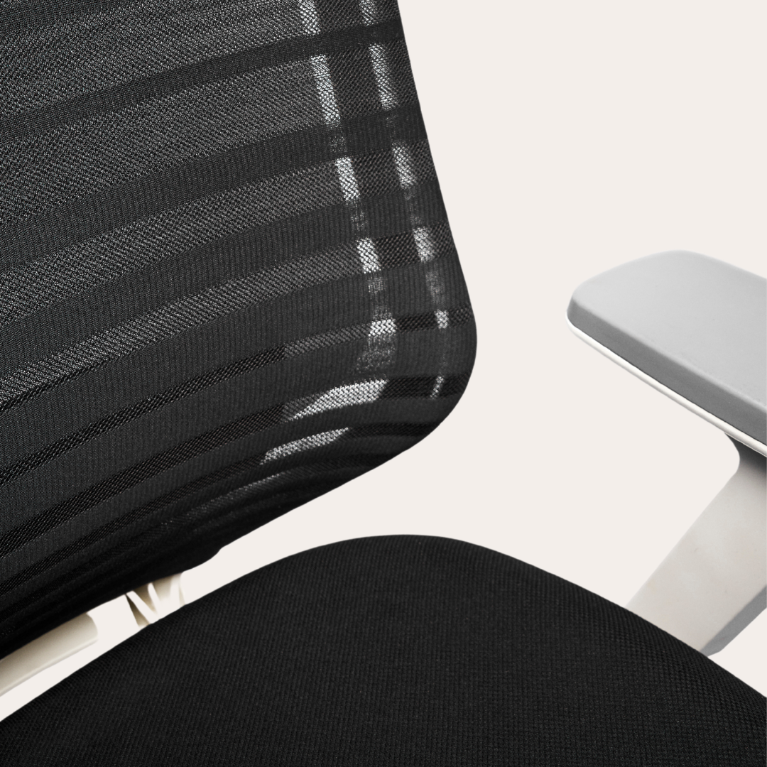 Seat Color:Graphite; Frame Color:White; Size:Standard