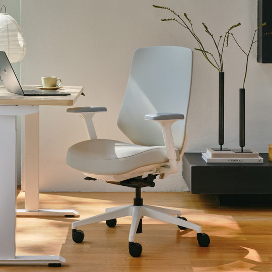 Ergonomic Chair Pro | Branch