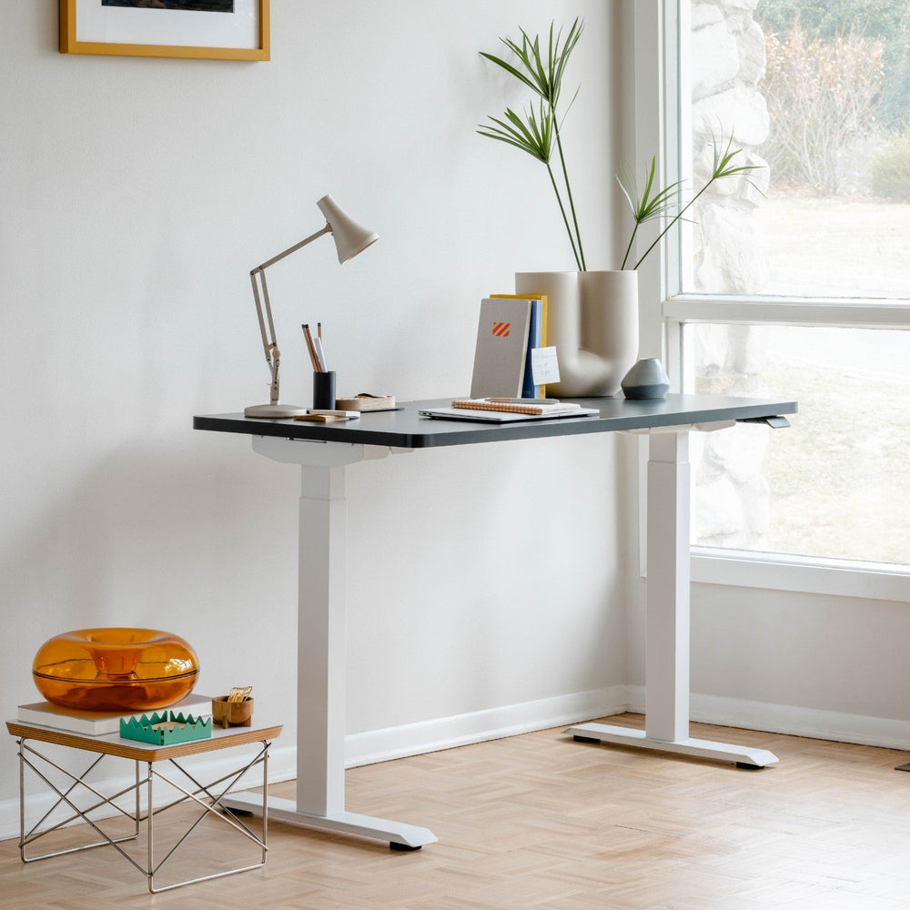 Branch Duo Standing Desk (48x27) — $649